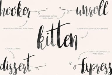 Amber Light Font by Mellow Design Lab — Script Handwritten Font — thumbnail 4