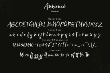 Ambience Font by Bal Studio — Script Handwritten Font — thumbnail 7
