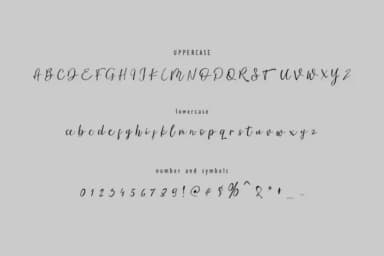 Ambre Script Font by Giant Design — Script Handwritten Font — thumbnail 8