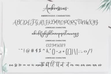 Ambrossius Script Font by Zane Studio — Script Handwritten Font — thumbnail 7