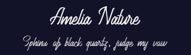 Amelia Nature by Fype Co. — Script Handwritten Font — thumbnail 2