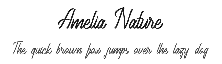 Amelia Nature by Fype Co. — Script Handwritten Font — preview 1