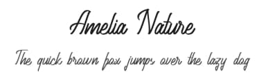 Amelia Nature by Fype Co. — Script Handwritten Font — thumbnail 1