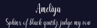 Ameliya by StringLabs Creative Studio — Script Handwritten Font — thumbnail 2