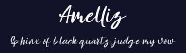 Amelliz by StringLabs Creative Studio — Script Handwritten Font — thumbnail 2
