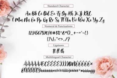 Amelya Font by R. Studio — Script Handwritten Font — thumbnail 6