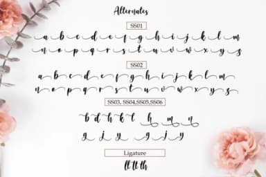 Amelya Font by R. Studio — Script Handwritten Font — thumbnail 7