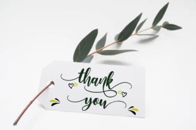 Amelya Font by R. Studio — Script Handwritten Font — thumbnail 8