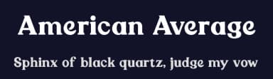 American Average by Typecase — Serif Font — thumbnail 2