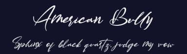 American Bully by Letterara — Script Handwritten Font — thumbnail 2