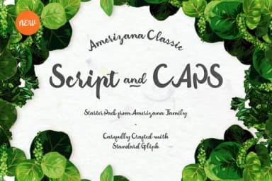 Amerizana Font by Ease Type — Script Handwritten Font — thumbnail 2