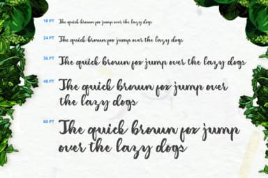 Amerizana Font by Ease Type — Script Handwritten Font — thumbnail 4