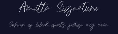 Ametta Signature by Typegoals Labs — Script Handwritten Font — thumbnail 2