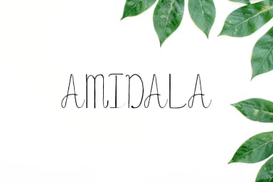 Amidala Font by creativetacos — Script Handwritten Font — thumbnail 1