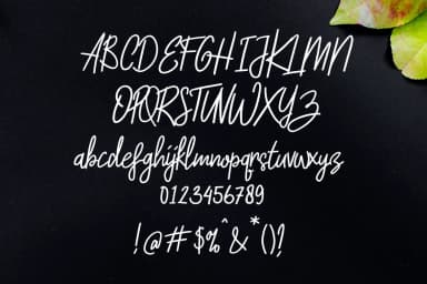 Amigos Font by LebahStudio — Script Handwritten Font — thumbnail 2