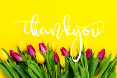 Ammenthi Font by Pineungtype & Missinklab — Script Handwritten Font — thumbnail 7