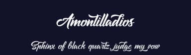 Amontilladios by Octotype  | Thomas Boucherie — Script Handwritten Font — thumbnail 2