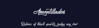 Amontillados by Octotype  | Thomas Boucherie — Script Handwritten Font — thumbnail 2