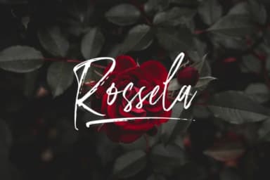 Amouris Font by Sronstudio — Script Handwritten Font — thumbnail 5