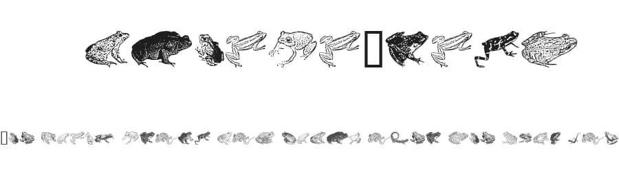AmphibiPrint by Astigmatic One Eye Typographic Institute — Dingbats Font