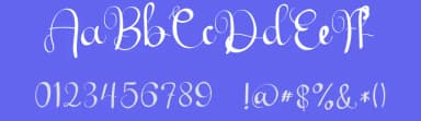 Amsterdam by Eddy Goodboy — Script Handwritten Font — thumbnail 3
