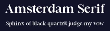 Amsterdam Serif by Lettersiro Studio — Serif Font — thumbnail 2