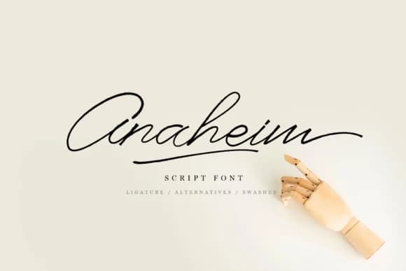 Anaheim Script Font by e.myself12 — Script Handwritten Font