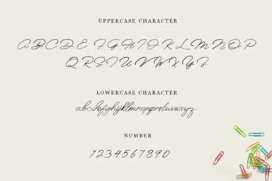 Anaheim Script Font by e.myself12 — Script Handwritten Font — thumbnail 2