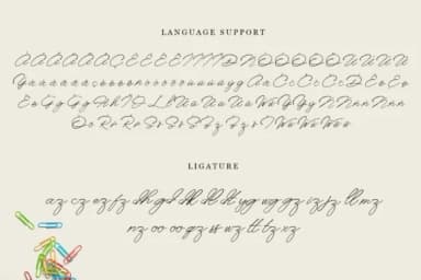 Anaheim Script Font by e.myself12 — Script Handwritten Font — thumbnail 3