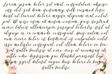 Anasoly Italic Font by Zmapist — Script Handwritten Font — thumbnail 2