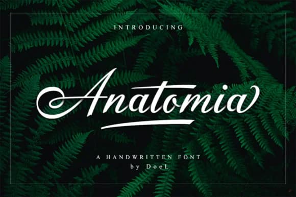 Anatomia Script Font by Fajry's Type — Script Handwritten Font