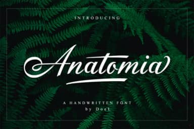 Anatomia Script Font by Fajry's Type — Script Handwritten Font — thumbnail 1