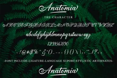 Anatomia Script Font by Fajry's Type — Script Handwritten Font — thumbnail 9