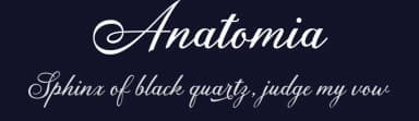 Anatomia by Fajr's Type — Script Handwritten Font — thumbnail 2