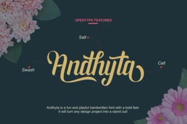 Andhyta Font by nurfdesigns — Script Handwritten Font — thumbnail 2