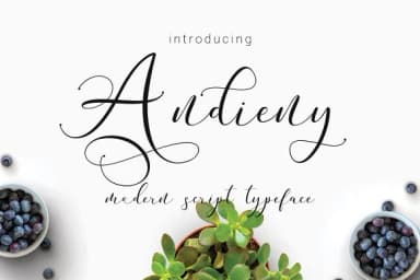 Andieny Font by Thirtypath — Script Handwritten Font — thumbnail 1