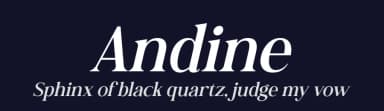 Andine by Letterena Studios — Serif Font — thumbnail 2