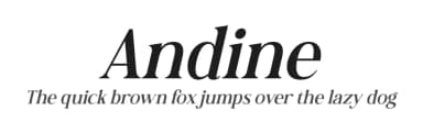 Andine by Letterena Studios — Serif Font — thumbnail 1