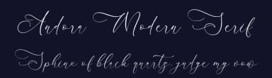 Andora Modern Serif by Storytype Studio — Serif Font — thumbnail 2