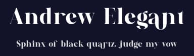 Andrew Elegant by 177Studio — Serif Font — thumbnail 2