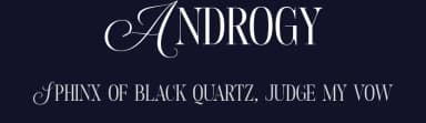 Androgy by Letterhend Studio — Serif Font — thumbnail 2