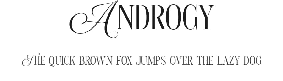 Androgy by Letterhend Studio — Serif Font