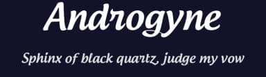 Androgyne by Dimitri Castrique — Script Handwritten Font — thumbnail 2