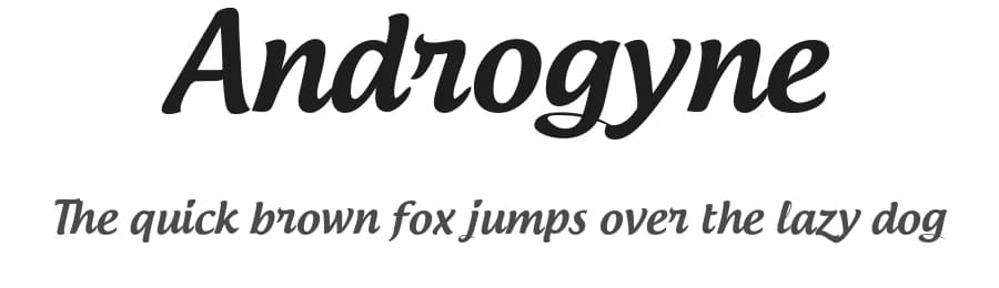Androgyne by Dimitri Castrique — Script Handwritten Font — preview 1
