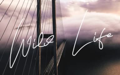 Androulla Font by edinsartstudio — Script Handwritten Font — thumbnail 8