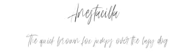 Anestacilla by Maulana Creative — Script Handwritten Font — thumbnail 1