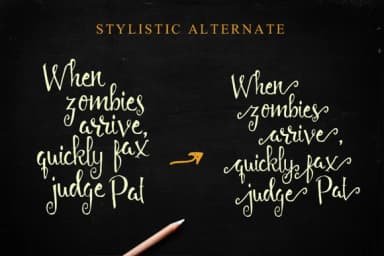 Angelia Script Font by QueenType — Script Handwritten Font — thumbnail 3