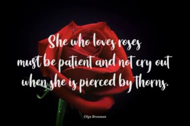 Angelina Font by Vilogsign — Script Handwritten Font — thumbnail 3