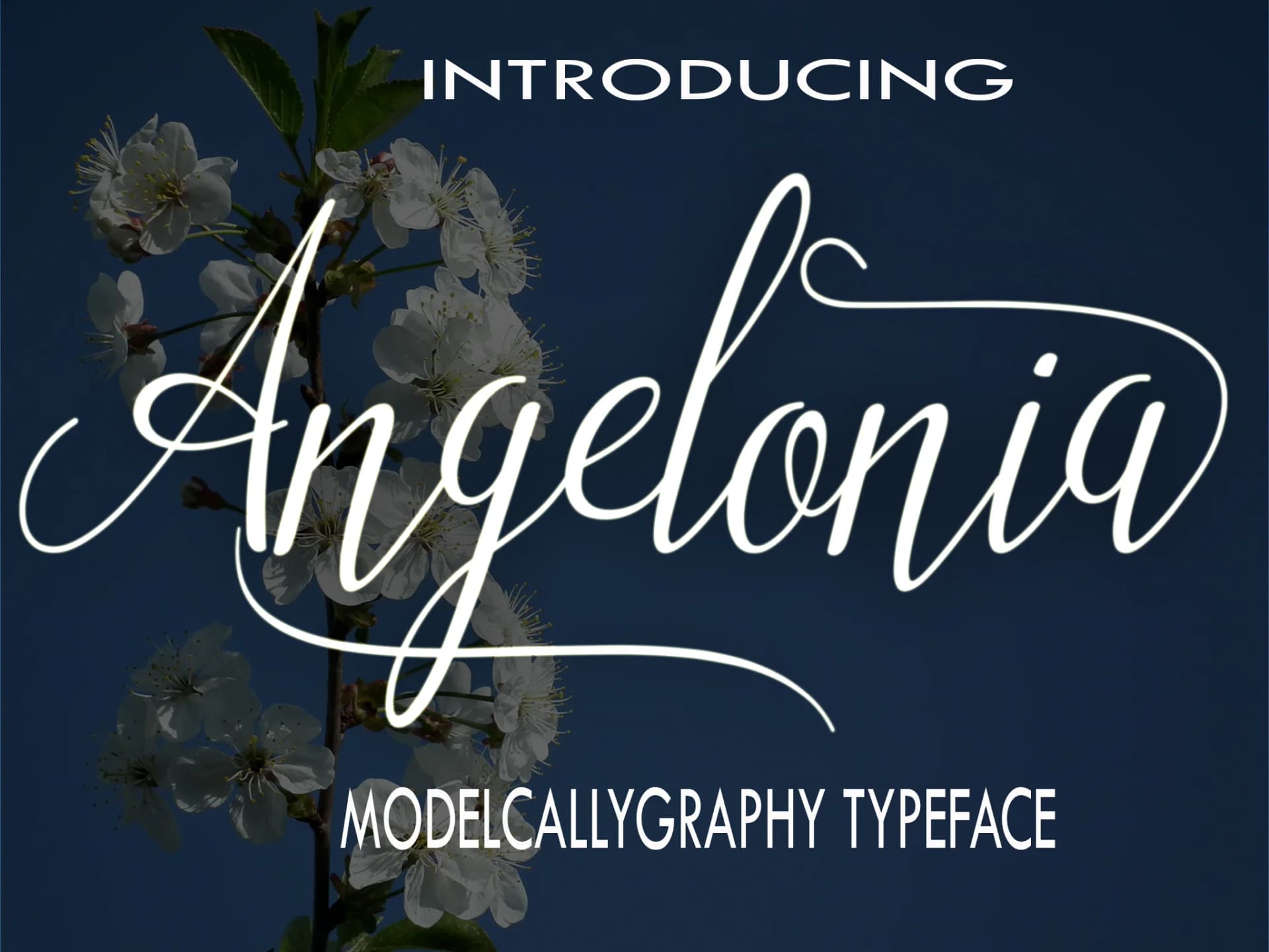 Angelonia Font by Imun Studio by Imun Studio — Script Handwritten Font