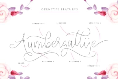 Angelova Font by Ian Mikraz — Script Handwritten Font — thumbnail 2